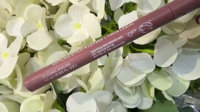 @risadoesmakeup reviewing CoverGirl Outlast Lip Stain at 18:48 in a YouTube Shorts video