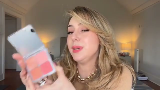 Blush Filter Blurring Blushlighters Palette