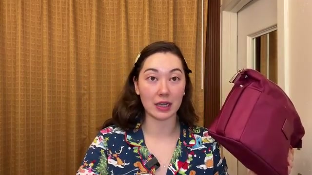 @tinatanakaharris reviewing Etoile Jet Setter Case at 15:37 in a YouTube Shorts video
